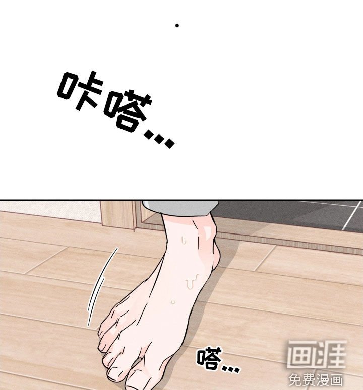 第15章：理想型