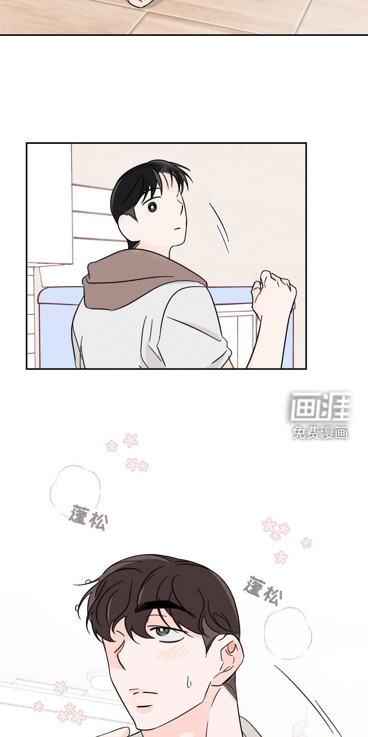 第15章：理想型