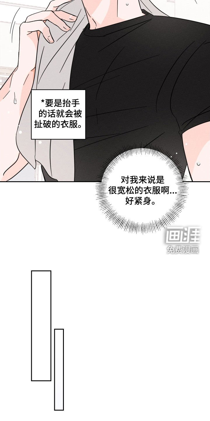 第15章：理想型