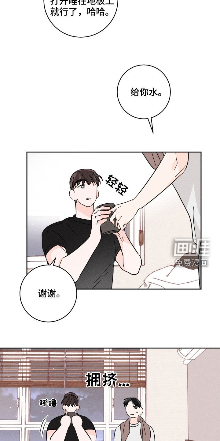 第15章：理想型