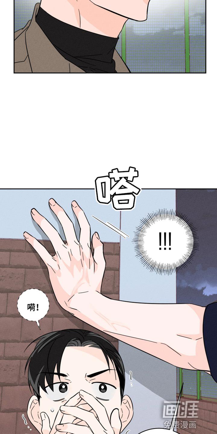 第20章：我的感想