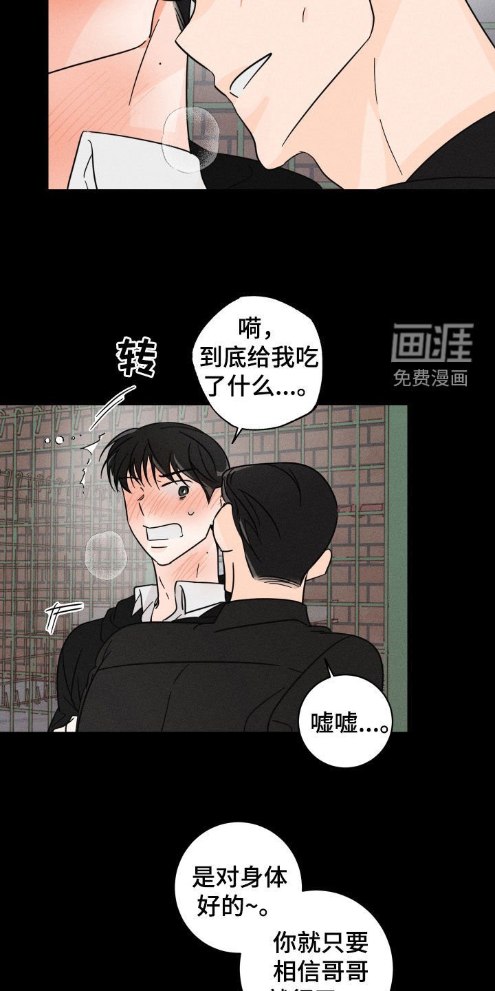 第31章：跟踪