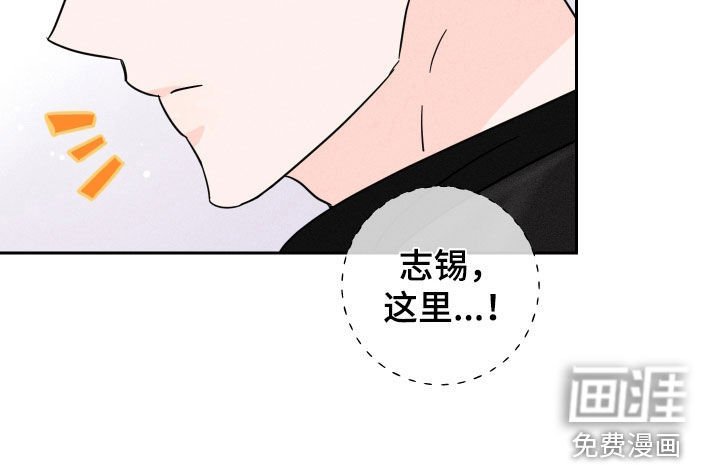第31章：跟踪