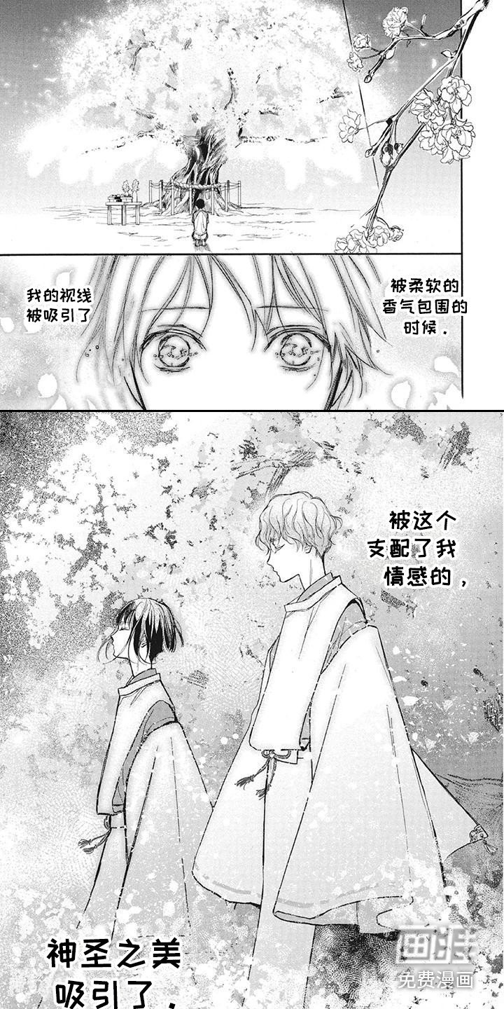 第13章：仪式