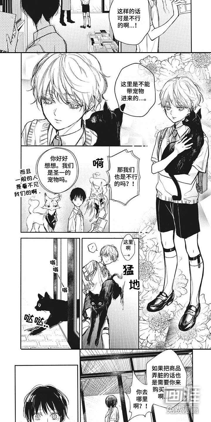 第21章：巧遇