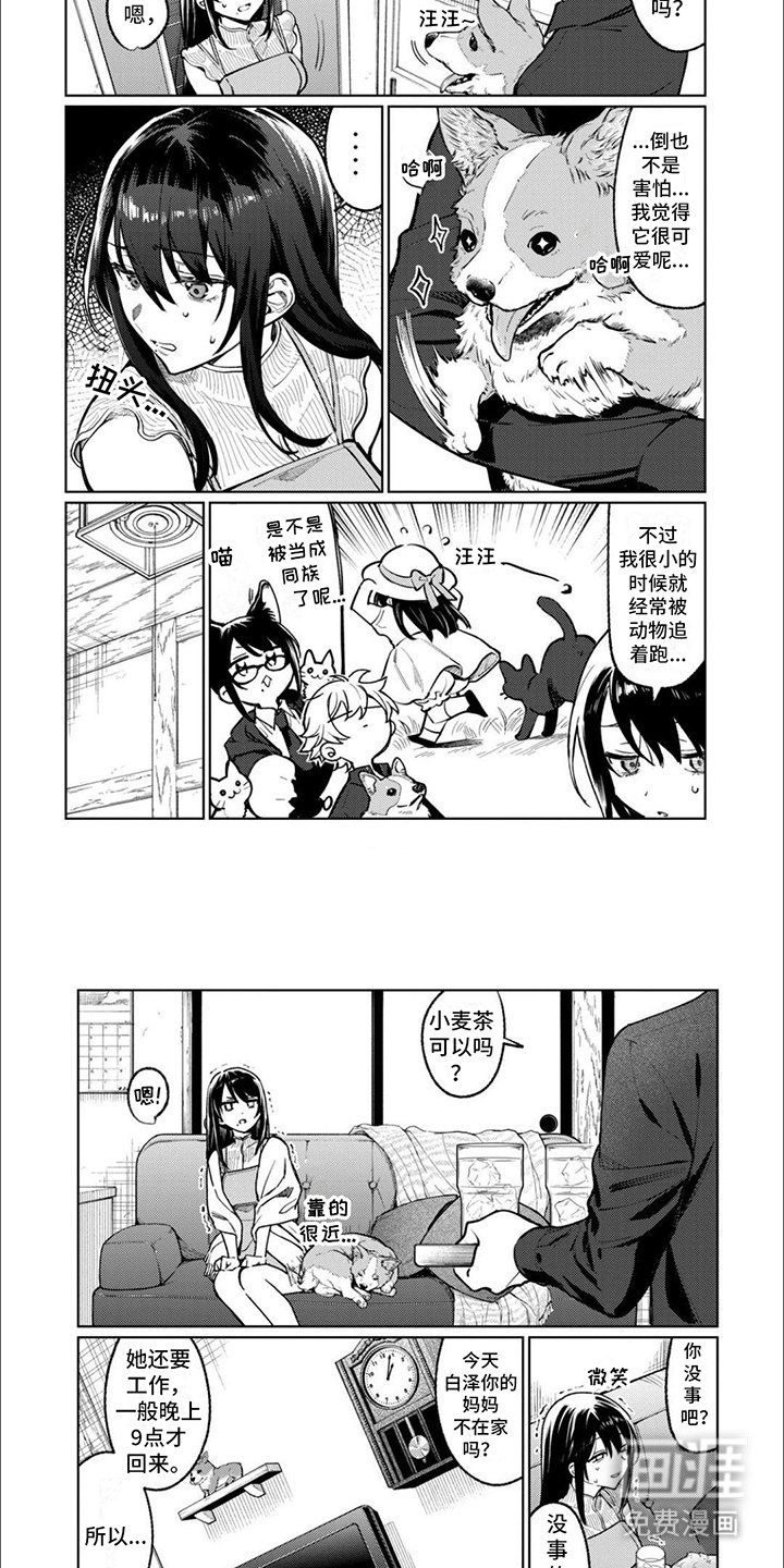 第11章：眼罩