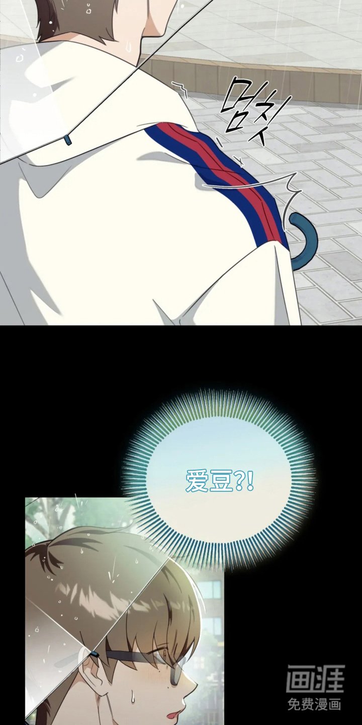 第1章：音乐节目