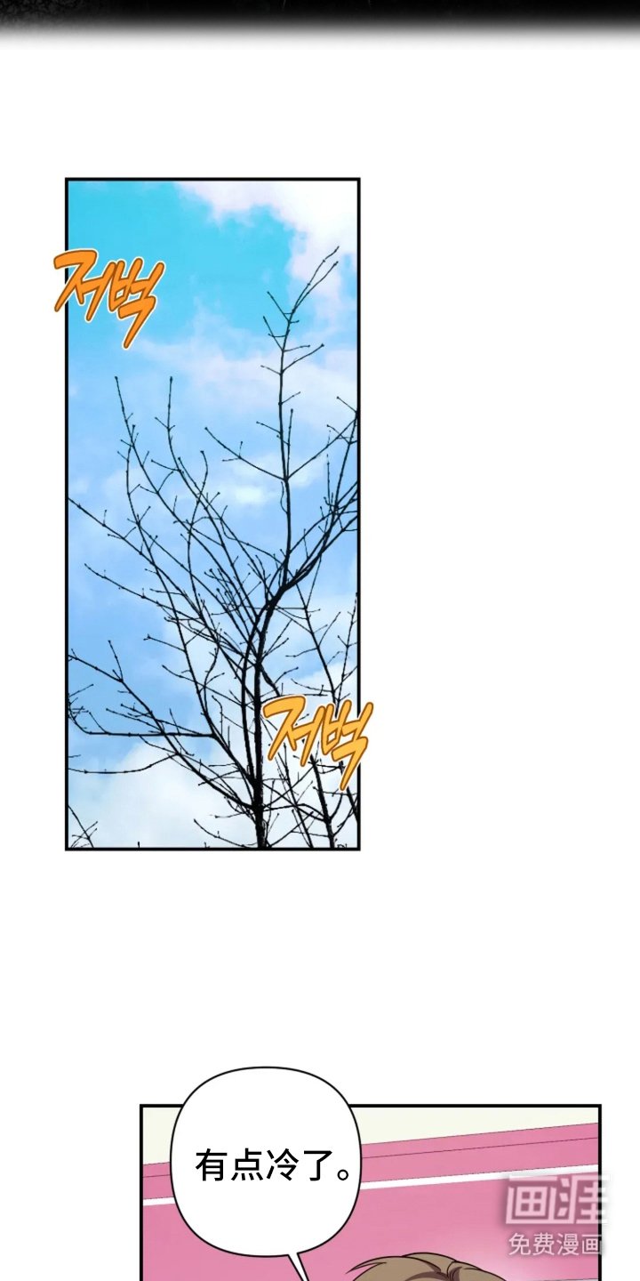 第13章：你喜欢的