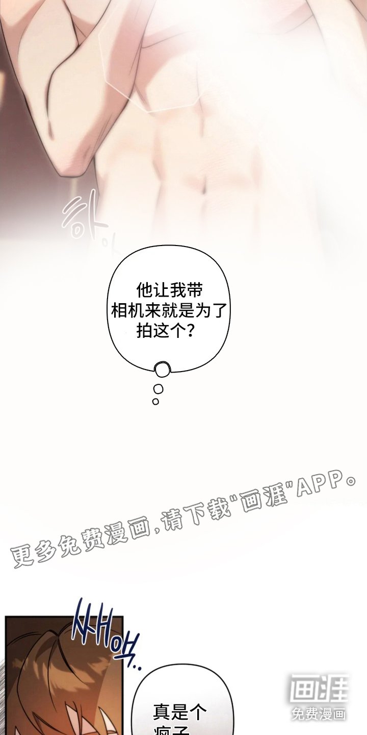 第9章：相机的目的