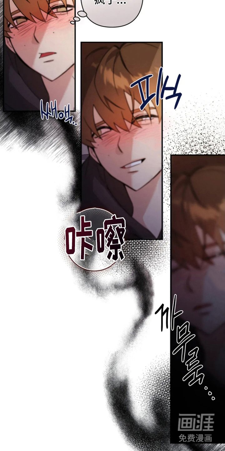 第9章：相机的目的