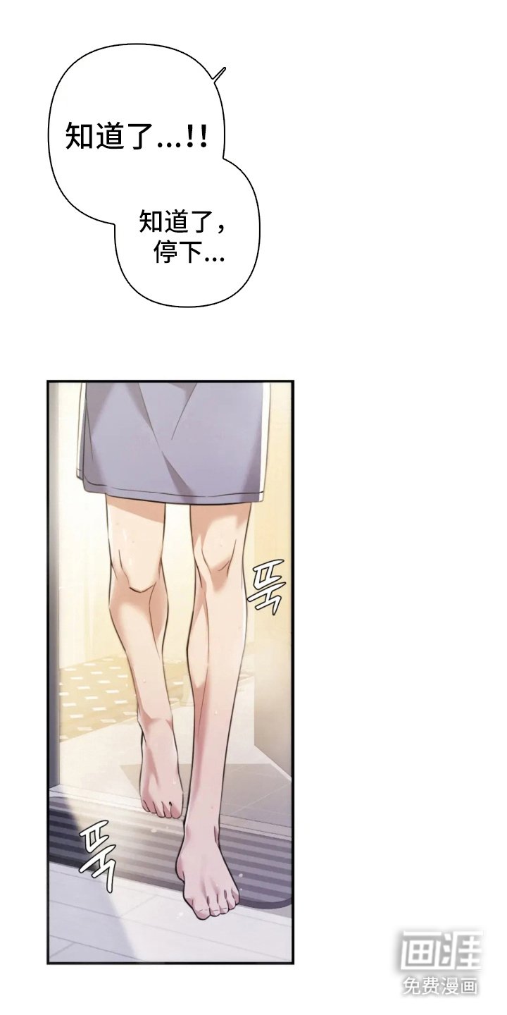 第9章：相机的目的