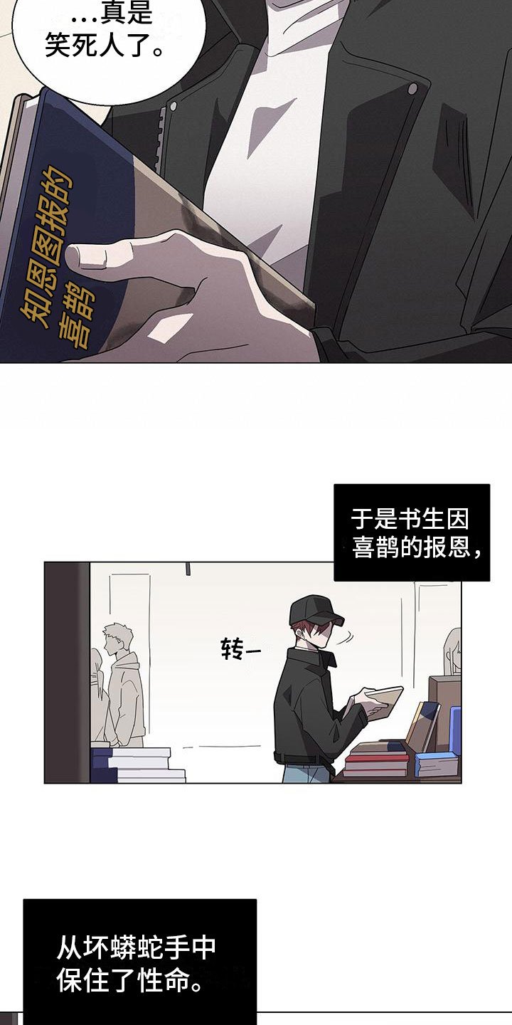 第1章：喜鹊救场