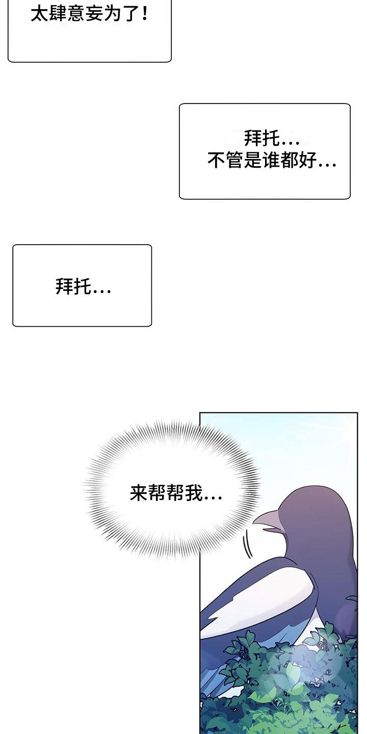 第1章：喜鹊救场