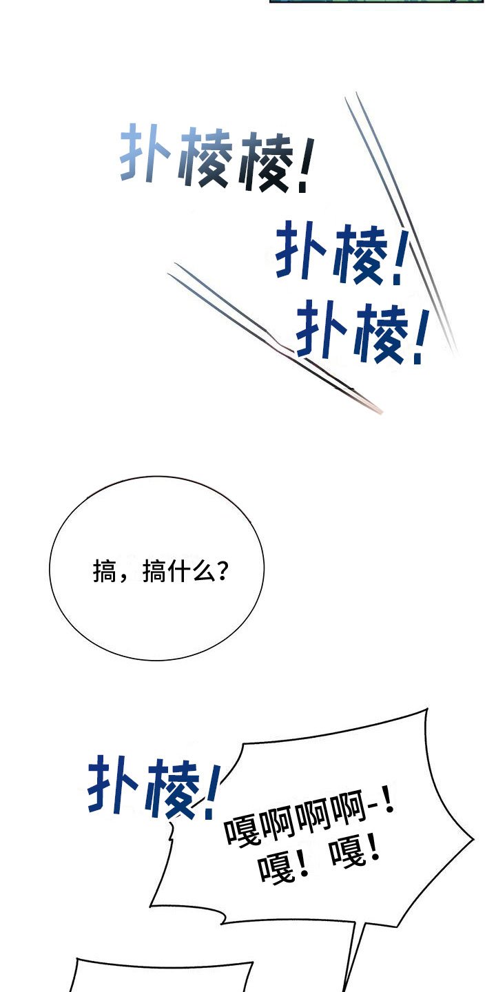 第1章：喜鹊救场