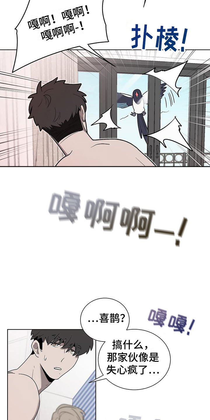 第1章：喜鹊救场