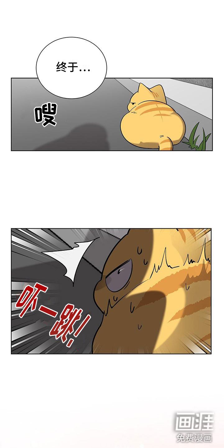 第17章：今天见面了