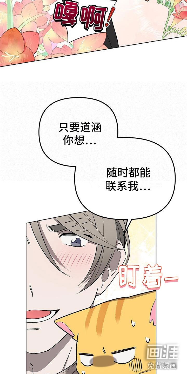 第17章：今天见面了