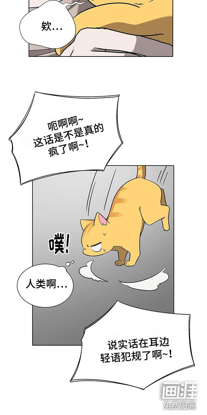 第17章：今天见面了