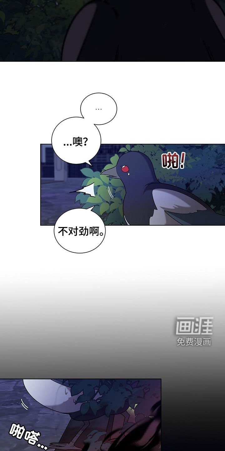 第24章：不会有问题的