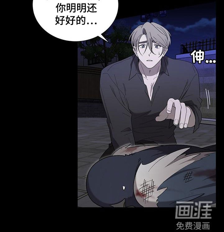 第26章：重伤