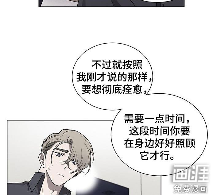 第27章：治疗