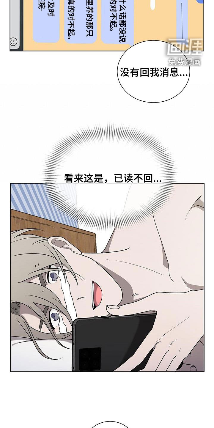 第29章：已读不回