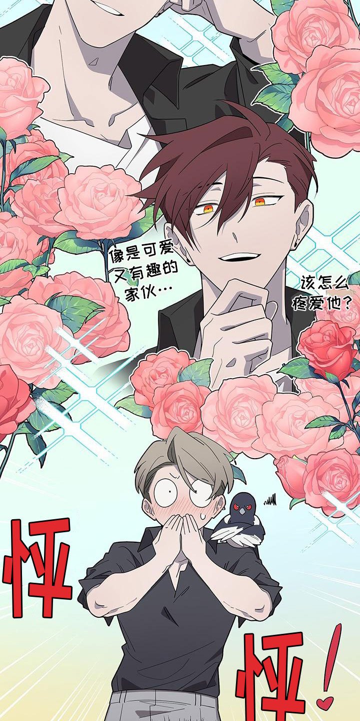 第3章：新邻居