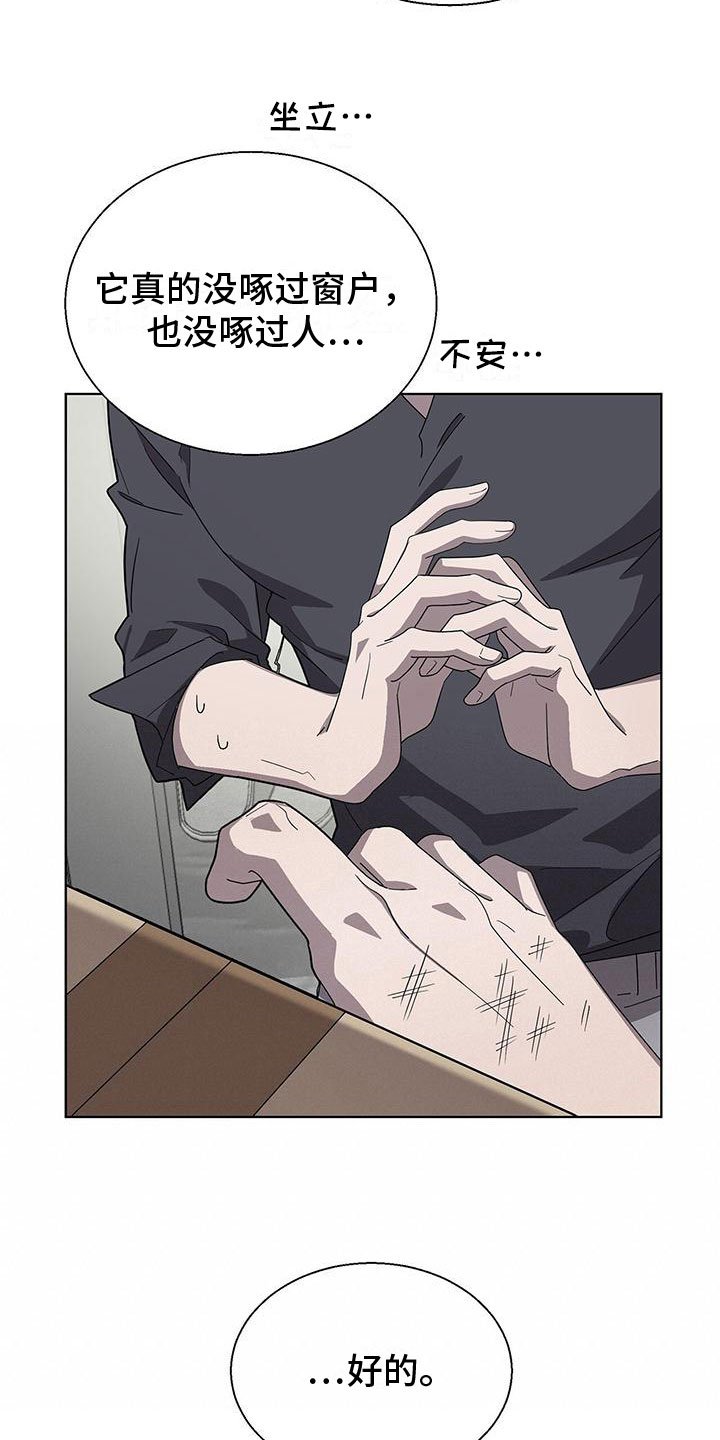 第3章：新邻居