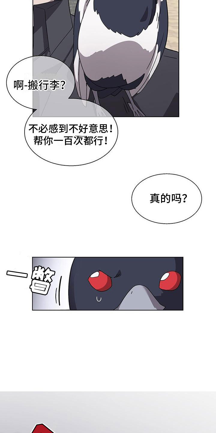 第3章：新邻居