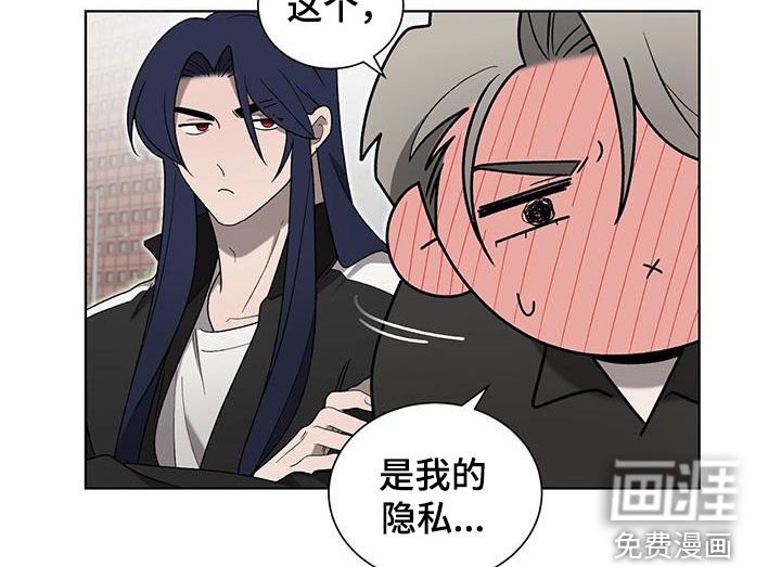 第34章：隐私