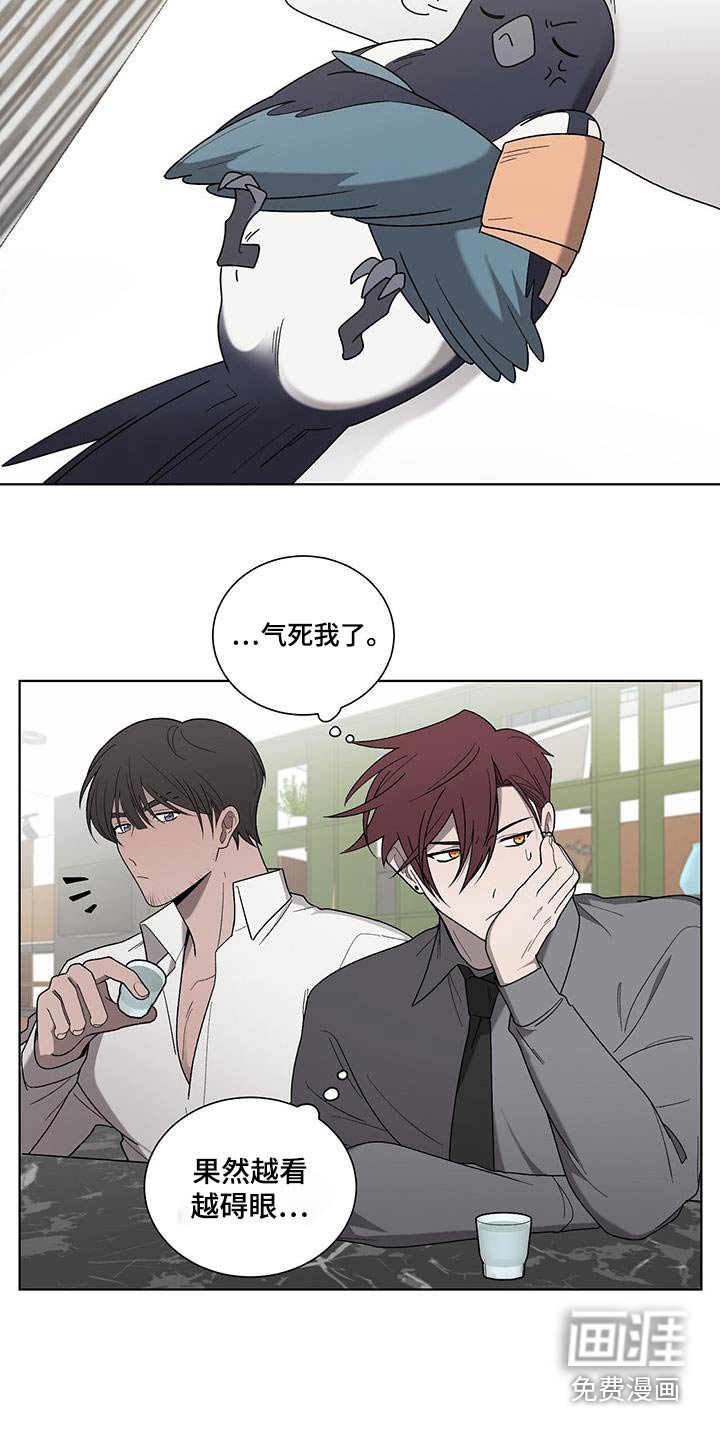 第36章：药袋