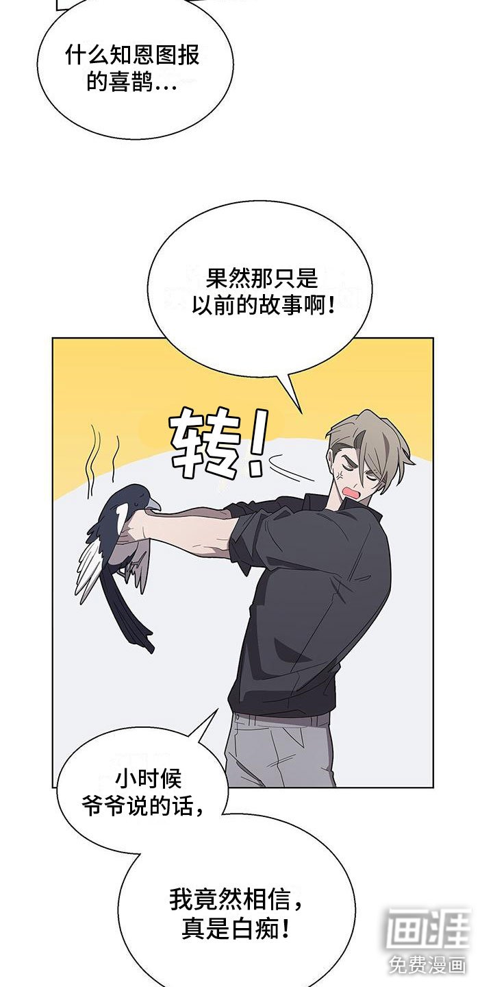 第4章：玩弄你