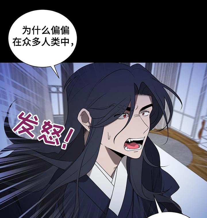 第42章：为什么