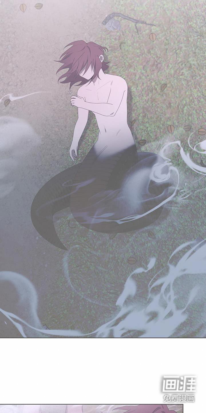 第43章：难道