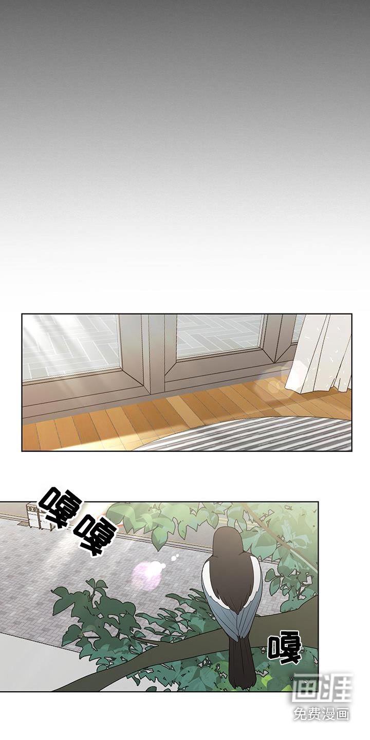 第45章：你醒啦