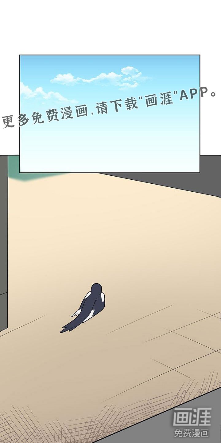 第5章：疯了吧
