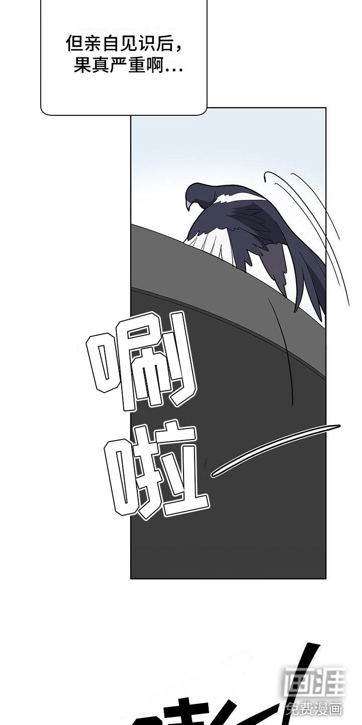 第5章：疯了吧