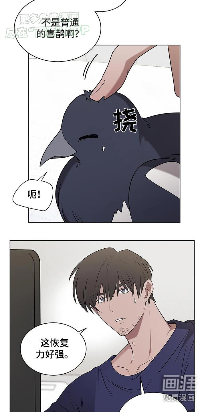 第66章：痊愈了