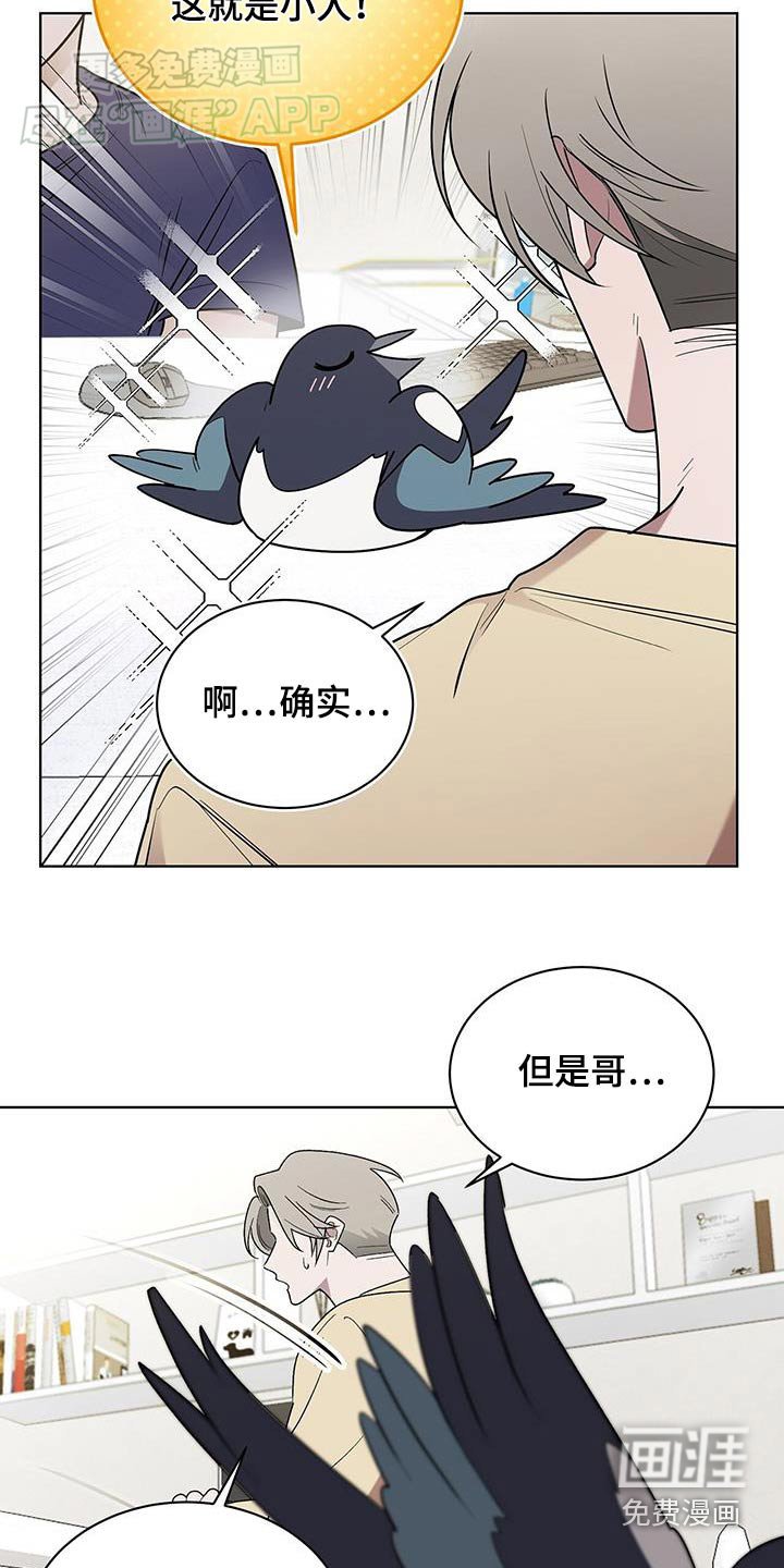 第66章：痊愈了