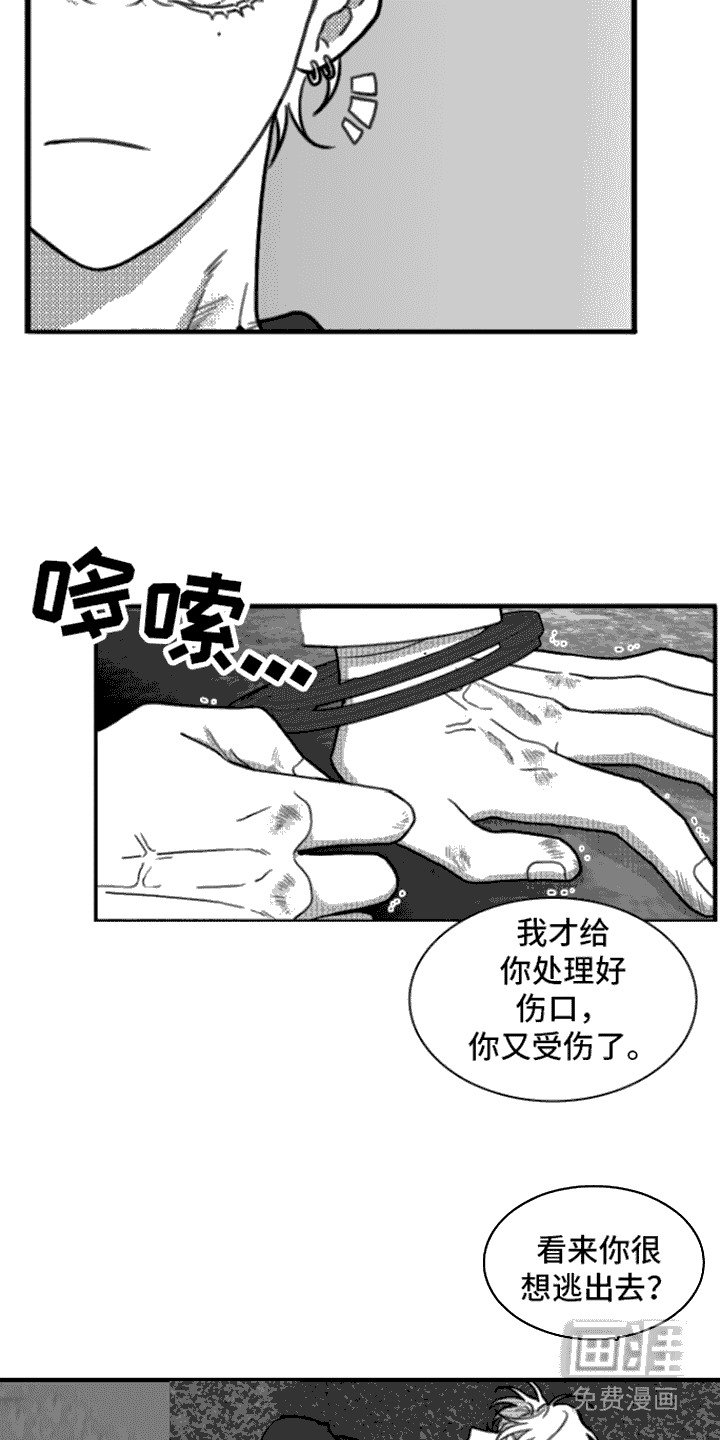 第14章：求饶