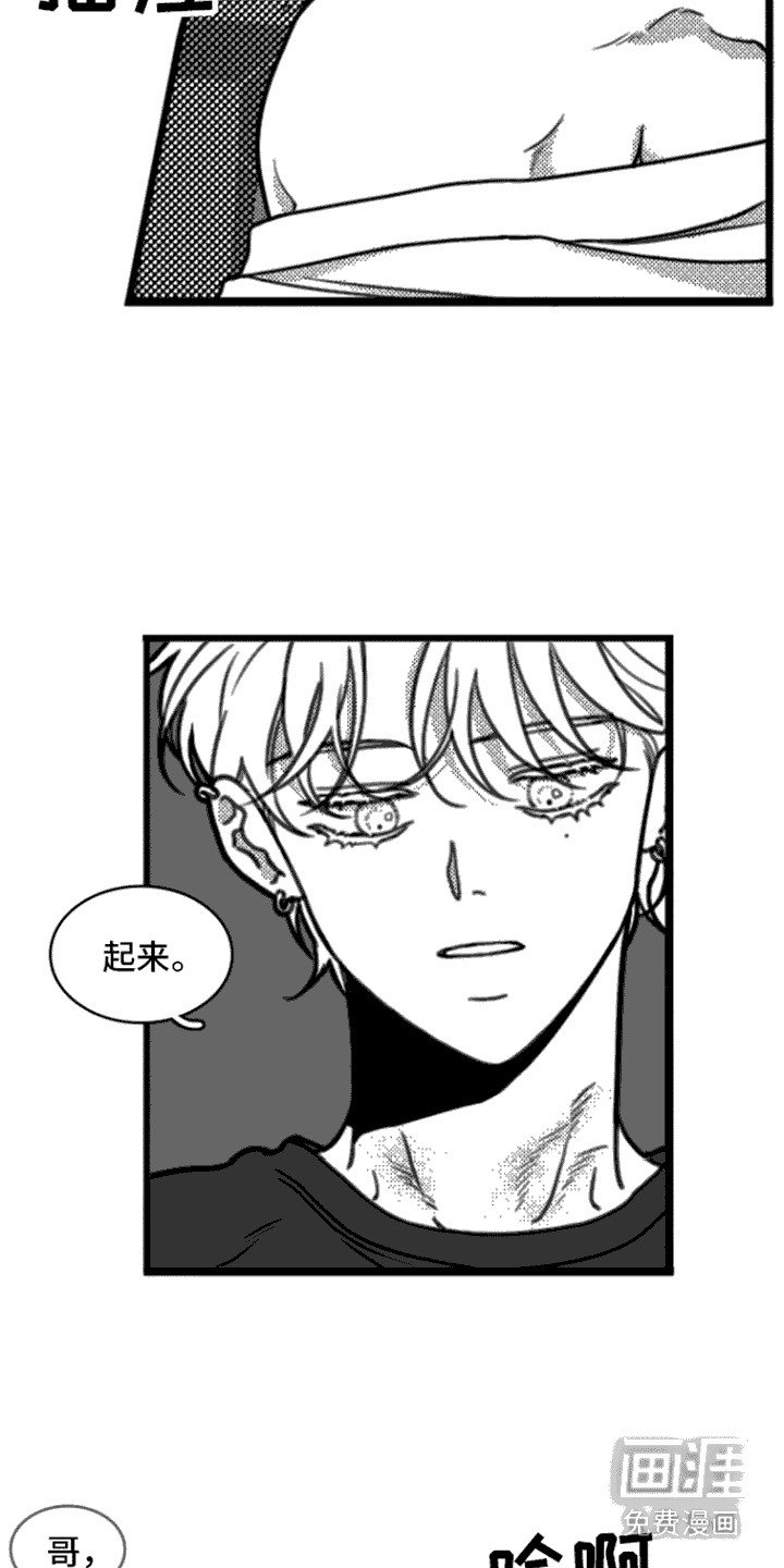 第16章：身不由己