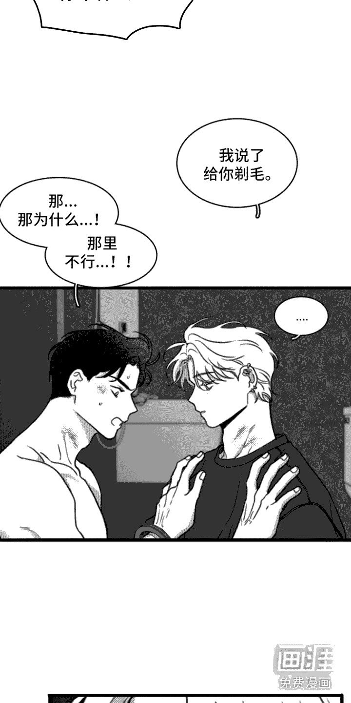 第18章：剃毛