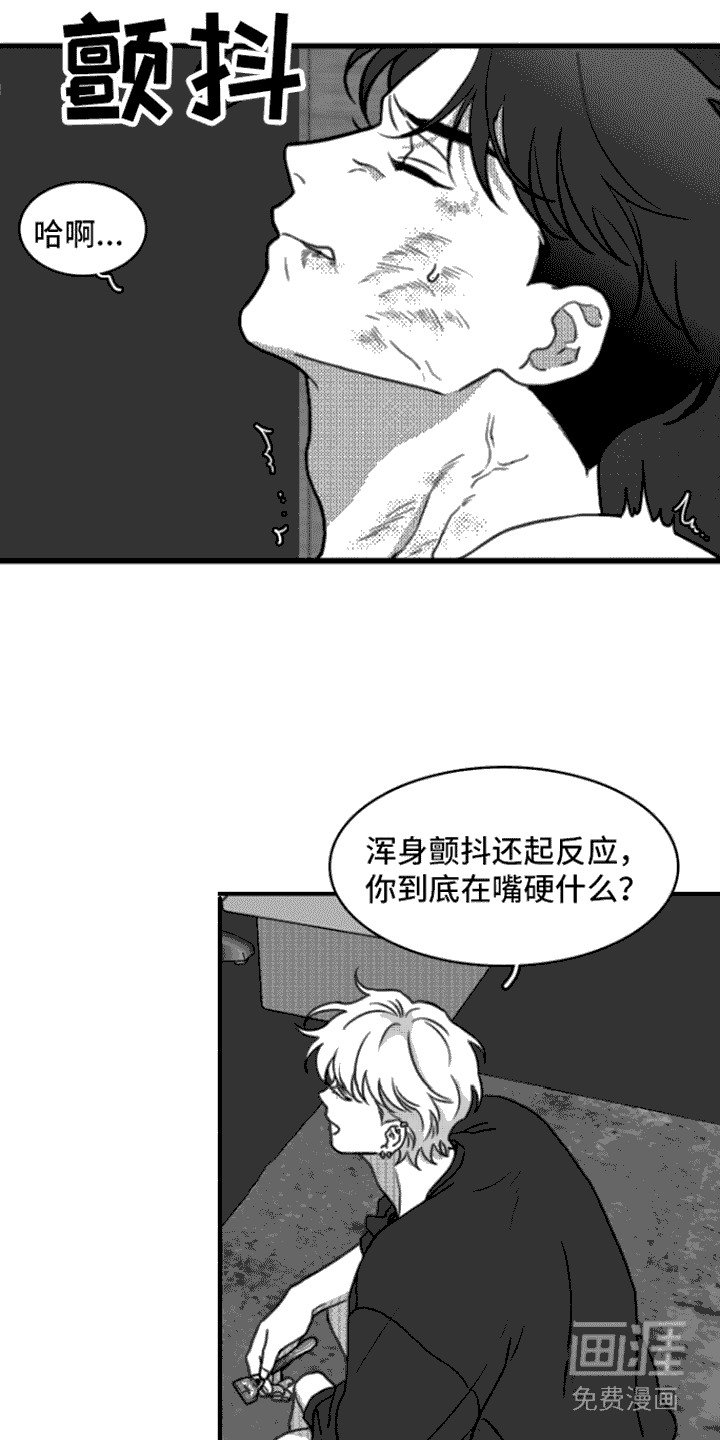 第18章：剃毛