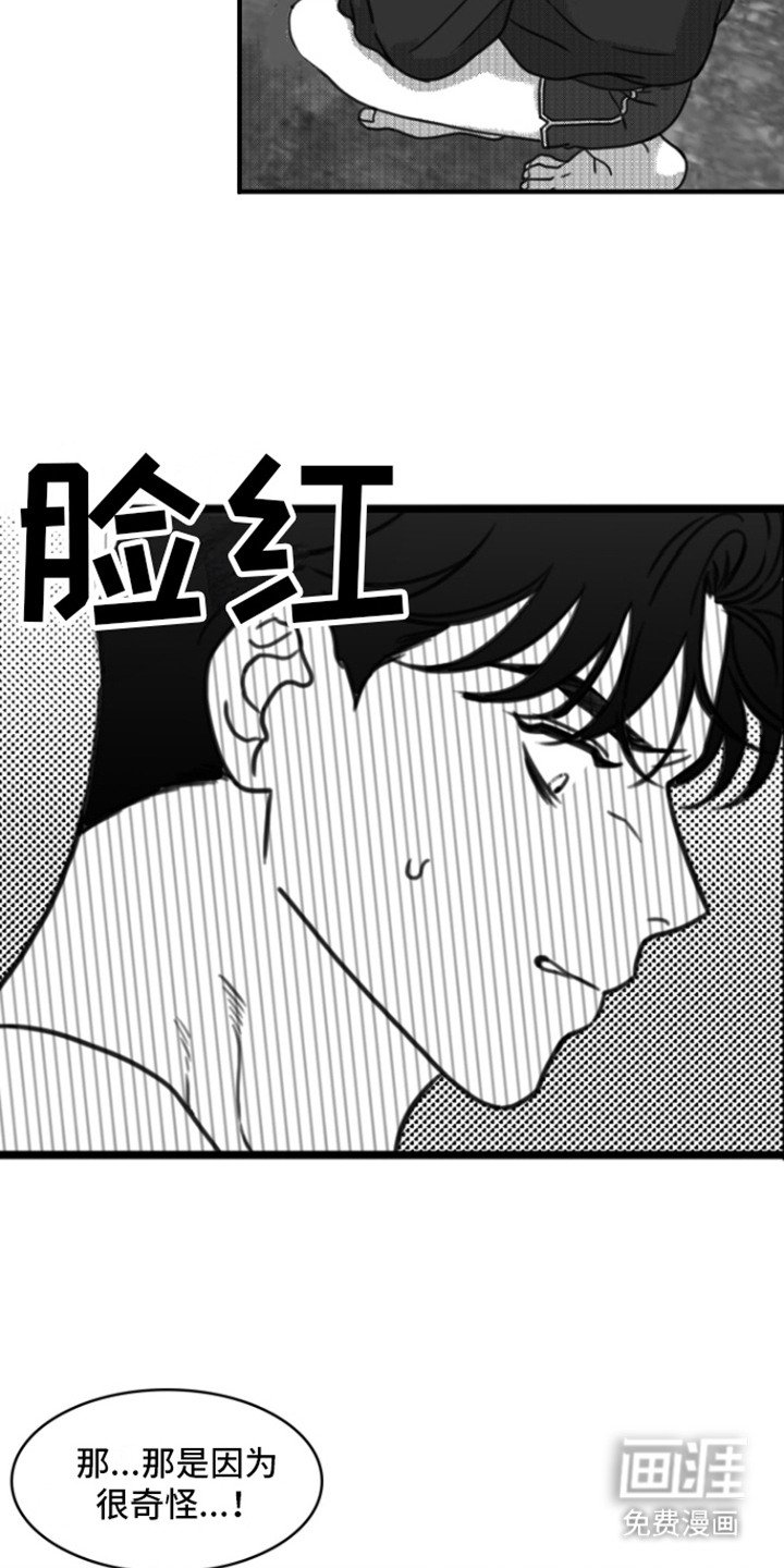 第18章：剃毛