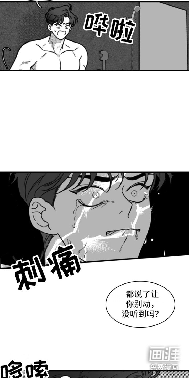 第18章：剃毛