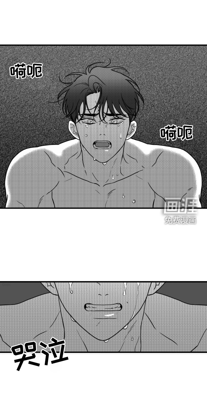 第19章：挣扎