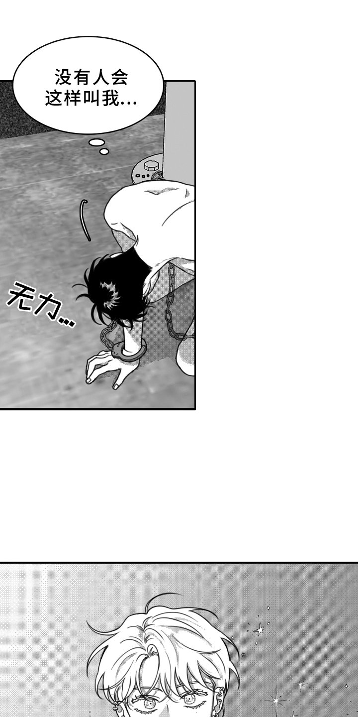 第20章：思索