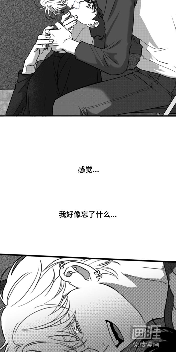 第37章：好像忘记了什么