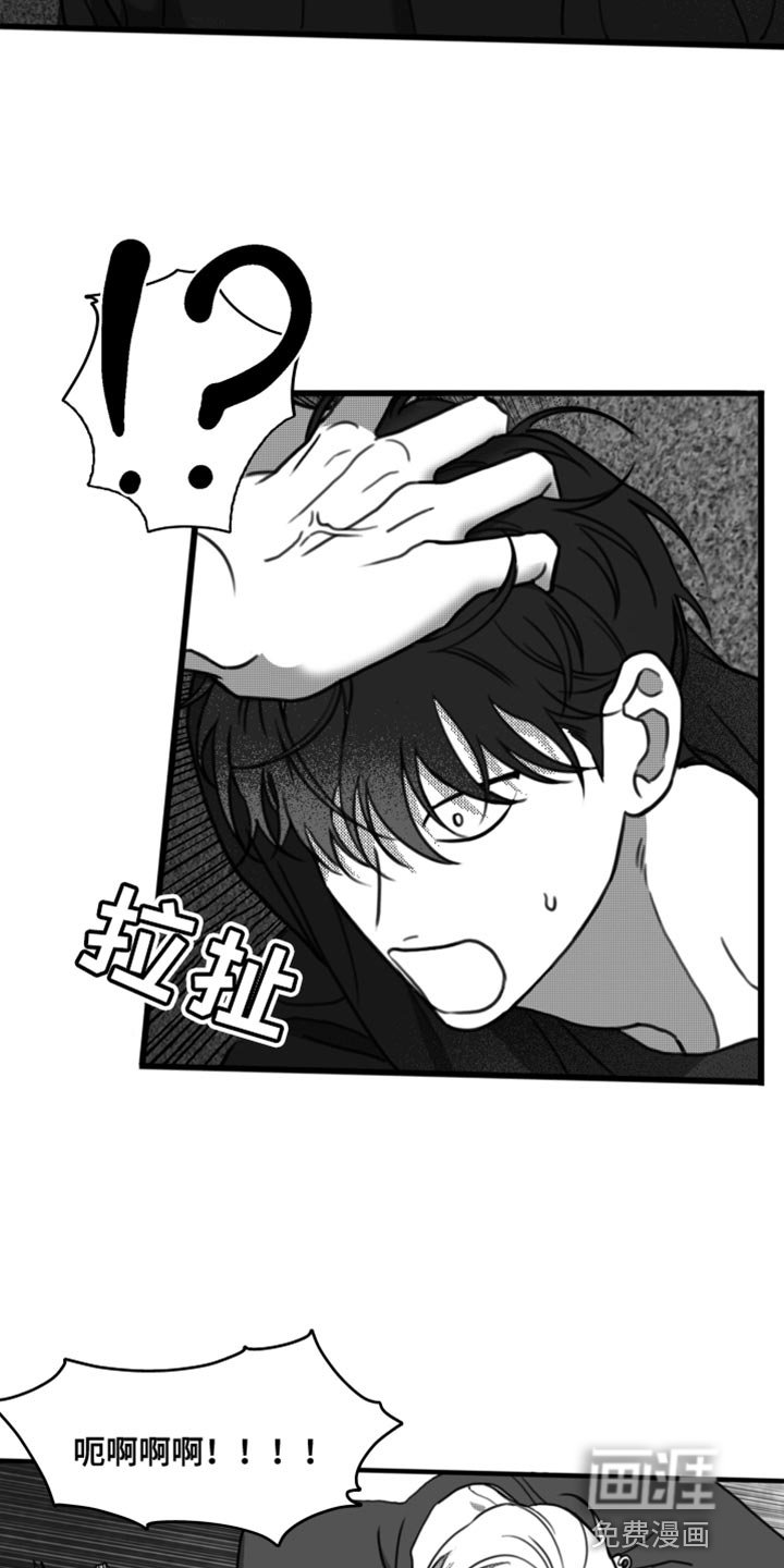 第40章：无可奉告