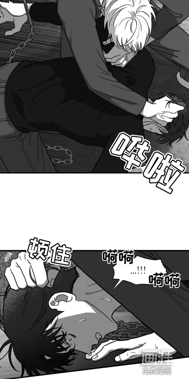 第40章：无可奉告